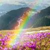 user1515161670817