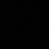 nassim_11212