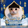 ppkucingramadhanberkumpu