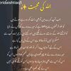 rajazohaib614