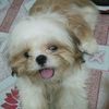 wilsonfernando2498