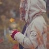 asinat_asil1246