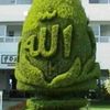 user87658196199341