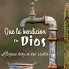 mayito2978