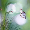 thanhduy_777