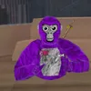 r0gu1d_