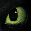 m1ohammad8