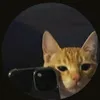 zzzvicwxs