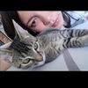 Yoce cordoba