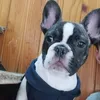 estoy_aburrido124