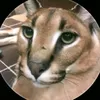 mynamebao17