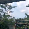 ainunzaskia2