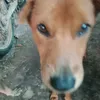thuyduong111244