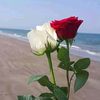 user8giy2olxa9