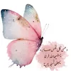 user9455450199072