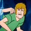 shaggy0140