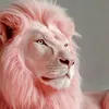 blissful_thinker7
