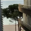plpl0bszet9713