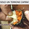 reluigi6