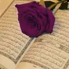 karrarkarrar247