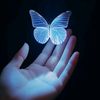 selena_athab9