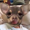 bryan_mnvjeyyaytmdh