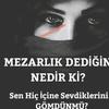 burak_3474