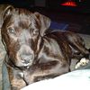 smitty_199826