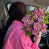 ana_aydin
