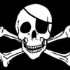 twiitch_piratenhoele