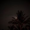 mg_080