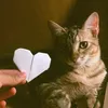 user.123_406