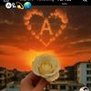 sead482