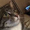 rocky.memes