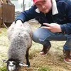 ralle_balle00