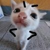 user75840923