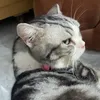 ffuhai