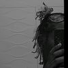 1queeda_._