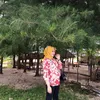 syahlala041