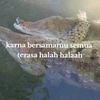 marimasjasjussisri