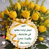 sun_8822