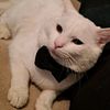 maqa_112_