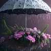 purplerose054