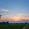 nguyenthaochi14