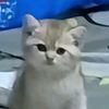 uknownhrln