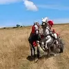 szabo219