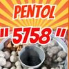 p16prij