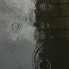 l0tus.hjr_