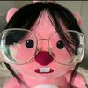 rhenita_