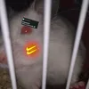 b0nni._